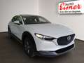 Mazda CX-30 G140 AT PRIME-LINE BIG DEAL Weiß - thumbnail 16