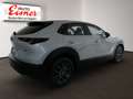 Mazda CX-30 G140 AT PRIME-LINE BIG DEAL Weiß - thumbnail 13