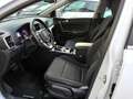 Kia Sportage 1.6 CRDI 136 CV DCT7 2WD Mild Hybrid Style Bianco - thumbnail 5
