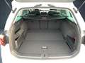 Volkswagen Passat Variant Elegance R-Line 2.0 TSI StHz/Nav/19''/DC/A Weiß - thumbnail 12