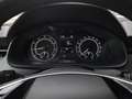 Skoda Scala SC TSI Grau - thumbnail 5
