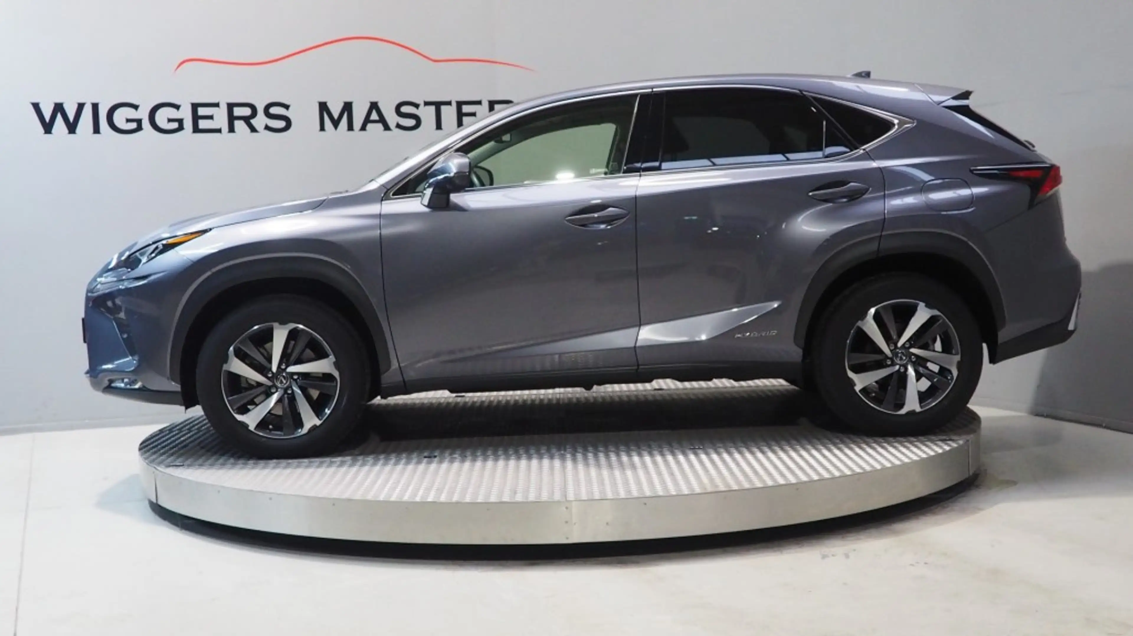 Lexus NX 300h President 197 PK, Mark Levinson, Glazen dak, 360 C — photo 17