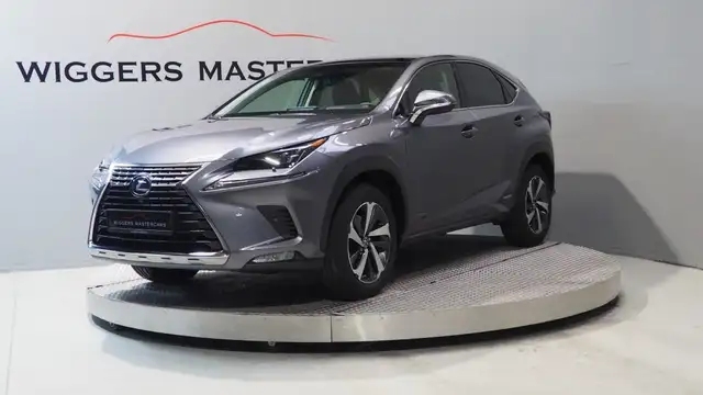 Lexus NX 300h President 197 PK, Mark Levinson, Glazen dak, 360 C