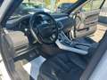 Land Rover Range Rover Evoque 5p 2.2 sd4 Dynamic 190cv auto/TETTO/PELLE/FULL Grijs - thumbnail 16