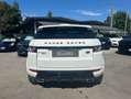 Land Rover Range Rover Evoque 5p 2.2 sd4 Dynamic 190cv auto/TETTO/PELLE/FULL Grigio - thumbnail 5