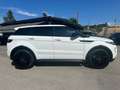 Land Rover Range Rover Evoque 5p 2.2 sd4 Dynamic 190cv auto/TETTO/PELLE/FULL Grigio - thumbnail 3