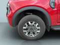 Ford Ranger 2,3 l EcoBoost Doppelkabine PHEV Wildtrak Rouge - thumbnail 12