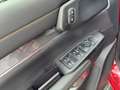 Ford Ranger 2,3 l EcoBoost Doppelkabine PHEV Wildtrak Rouge - thumbnail 11