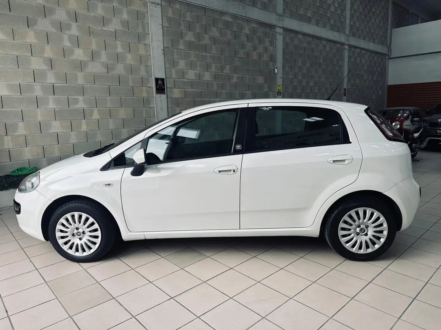 Fiat Punto Evo Punto Evo 1.2 5 porte S&S Dynamic Bianco - 2