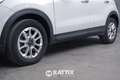Fiat 500X 1.0 T3 120CV Business Bianco - thumbnail 4