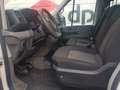 Volkswagen Crafter Pritsche 35 DOKA mittel 7 Sitze Tüv neu Weiß - thumbnail 8