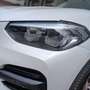 BMW X3 X3 G01 2017 xdrive20d mhev 48V auto Weiß - thumbnail 19