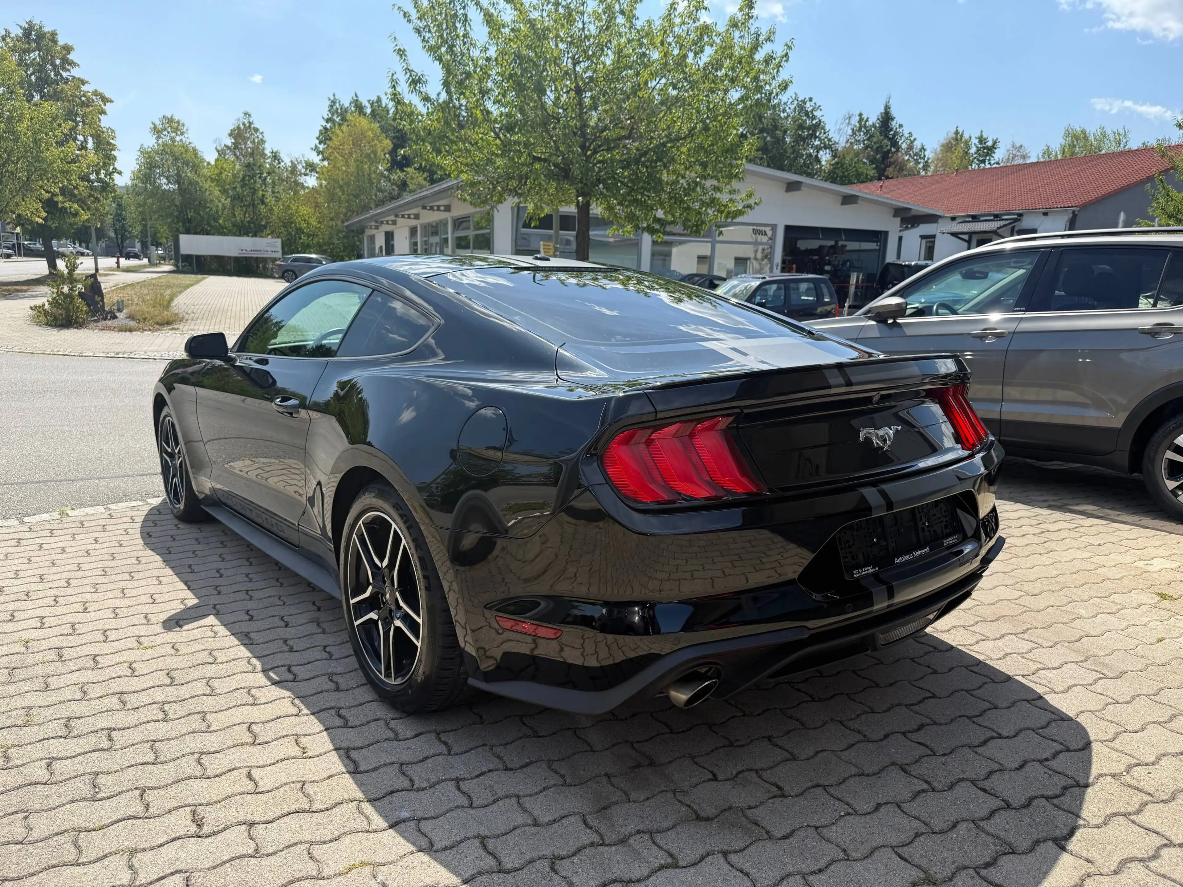 Ford Mustang Basis Fastback - — photo 7