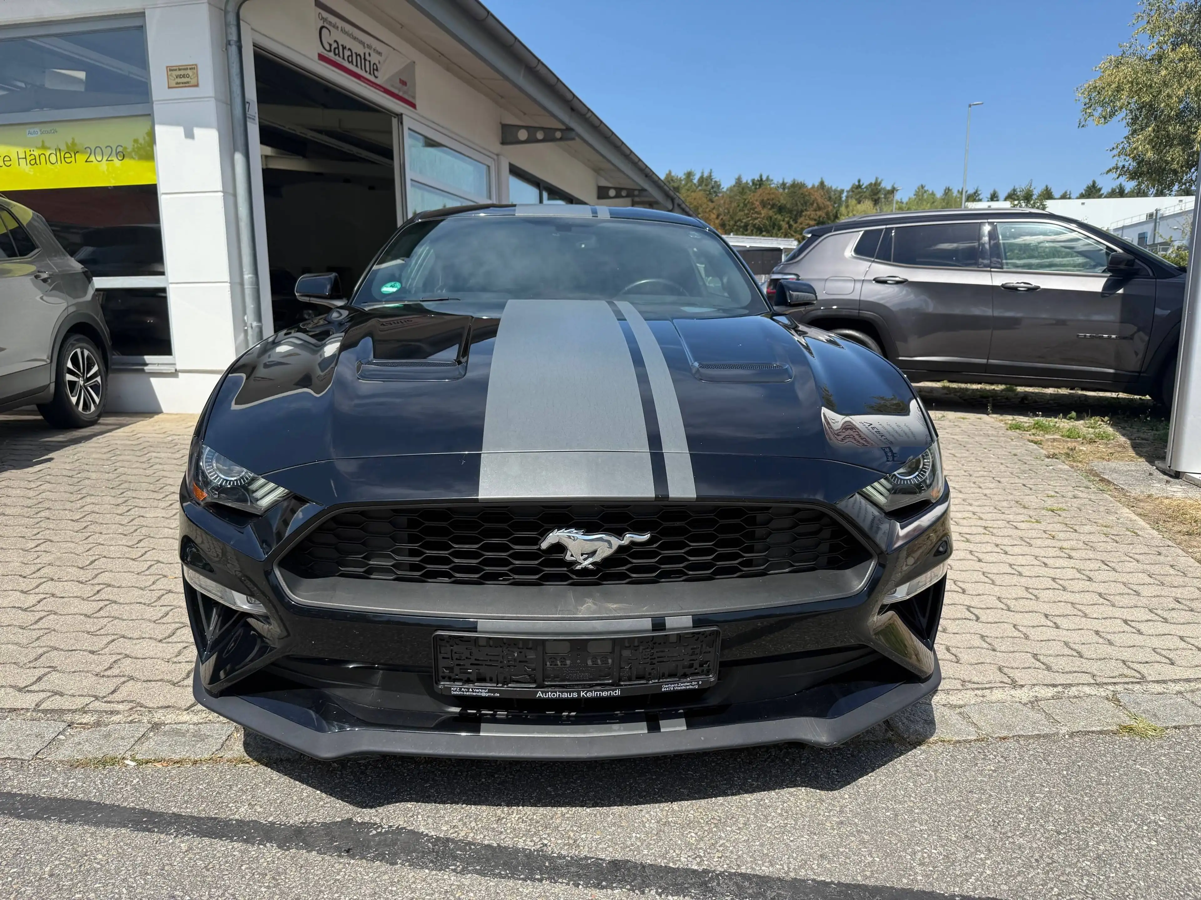Ford Mustang Basis Fastback - — photo 2
