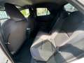 Toyota C-HR Plug-In Hybrid FWD Team Deutschland Weiß - thumbnail 24