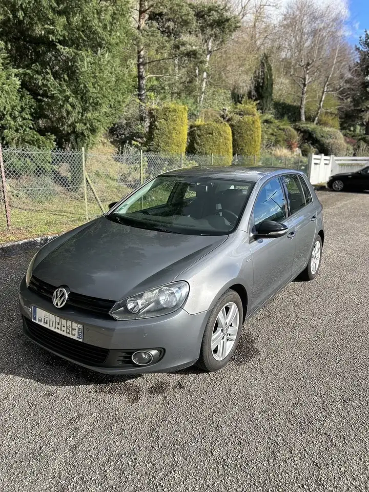 Volkswagen Golf 1.6 TDI 105 FAP CR BlueMotion Match