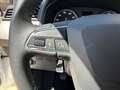 SEAT Ibiza 1.0 TSI 70kW 95CV Style Plus Blanco - thumbnail 21