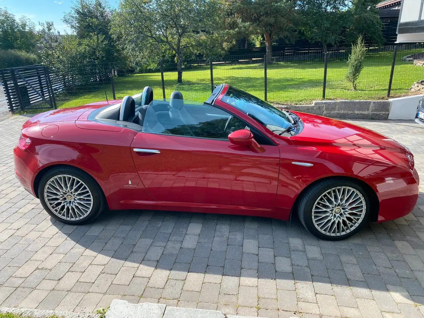 Alfa Romeo Spider Rouge - 1