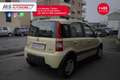 Fiat Panda FIAT Panda 1.2 Climbing Natural Power Unicoprieta Geel - thumbnail 13