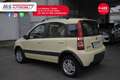Fiat Panda FIAT Panda 1.2 Climbing Natural Power Unicoprieta Geel - thumbnail 15