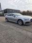 Audi A5 35 TDI basis Grau - thumbnail 5
