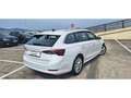 Skoda Octavia Combi 2.0TDI Ambition DSG 110kW Blanco - thumbnail 10