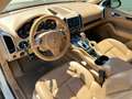 Porsche Cayenne S 3.0 TDI V6 TIPTRONIC DIESEL TETTO ITALIANA UNICA Gris - thumbnail 7