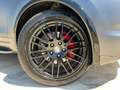 Porsche Cayenne S 3.0 TDI V6 TIPTRONIC DIESEL TETTO ITALIANA UNICA Gris - thumbnail 9