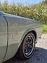Ford Taunus 17m 2000s Grün - thumbnail 14