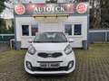 Kia Picanto Edition 7  * 1. Hand * Klimaanlage * TÜV/AU * Weiß - thumbnail 7