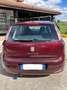 Fiat Punto 5p 1.3 mjt II 16v Lounge eco s&s 85cv Rosso - thumbnail 3