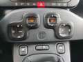 Fiat Panda Panda III 2021 Cross Panda 1.0 firefly hybrid Cro Blu/Azzurro - thumbnail 15