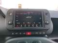 Fiat Panda Panda III 2021 Cross Panda 1.0 firefly hybrid Cro Blu/Azzurro - thumbnail 14