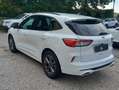 Ford Kuga Kuga III 1.5 ecoblue ST-Line 2wd 120cv auto Blanc - thumbnail 5