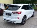 Ford Kuga Kuga III 1.5 ecoblue ST-Line 2wd 120cv auto Blanc - thumbnail 7