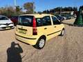 Fiat Panda Panda II 2003 1.2 Dynamic 69cv E5 Jaune - thumbnail 8