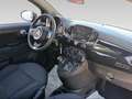 Fiat 500 My24 500 1.0 70 Cv Hybrid Schwarz - thumbnail 15