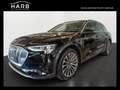 Audi e-tron 50 Schwarz - thumbnail 1