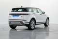 Land Rover Range Rover Evoque 2.0D MHEV Standard AWD Aut. 150 Blanco - thumbnail 6