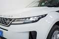 Land Rover Range Rover Evoque 2.0D MHEV Standard AWD Aut. 150 Blanco - thumbnail 10