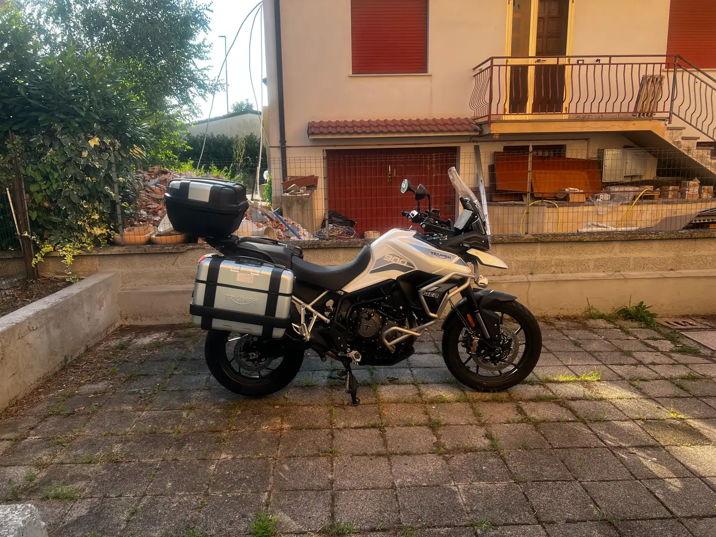 Triumph Tiger 900 pro Bianco - 2