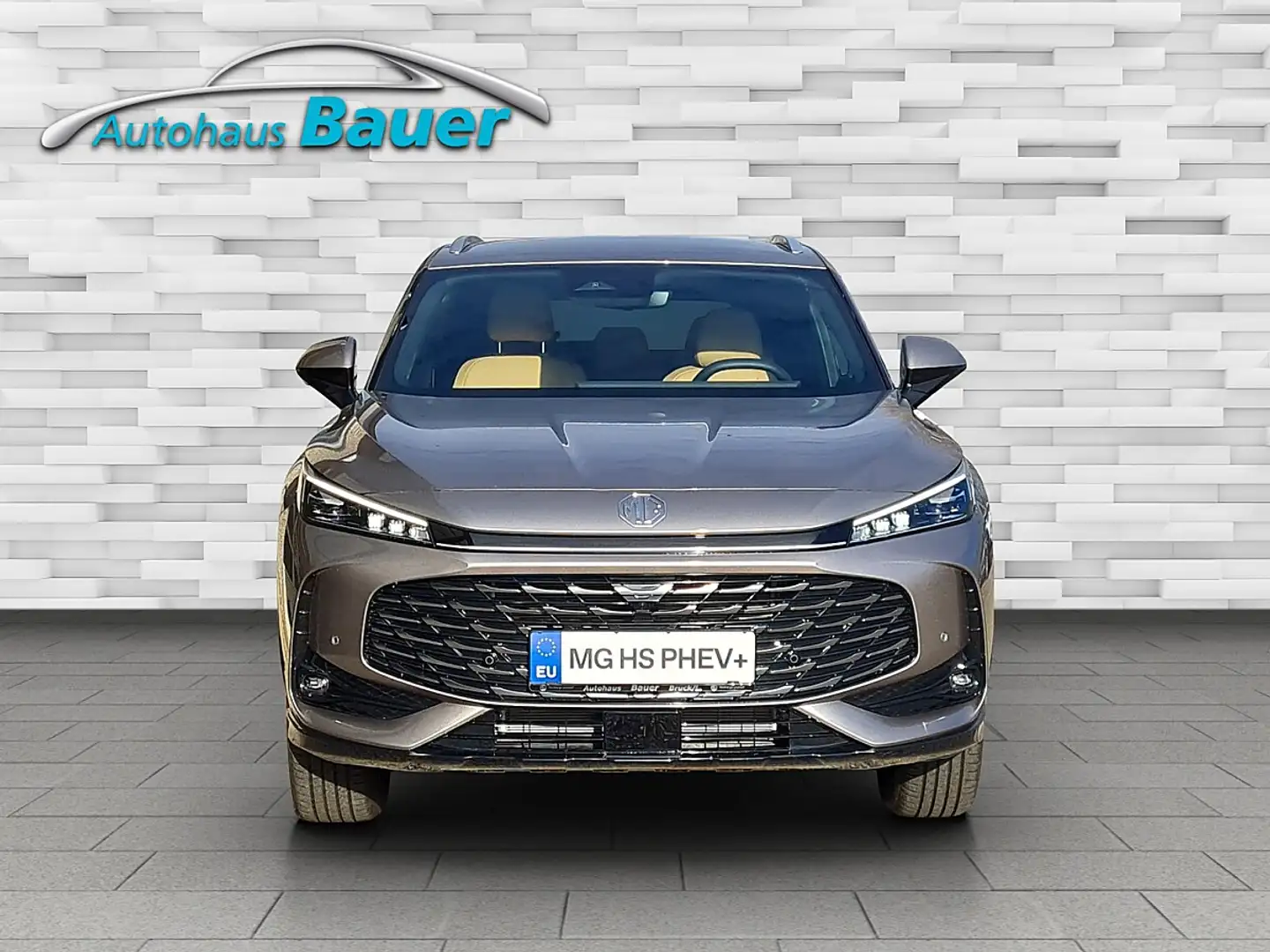 MG HS PHEV+ Luxury Silber - 2