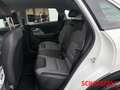 Kia Niro EV Edition 7 3PH-Lader Eco-Paket Wärmepumpe Carpla Fehér - thumbnail 15