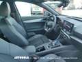 CUPRA Formentor Formentor 2.0 TDI 4Drive Automatica - thumbnail 13