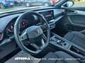 CUPRA Formentor Formentor 2.0 TDI 4Drive Automatica - thumbnail 5