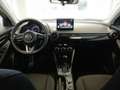 Mazda 2 G90 AT HOMURA Lagernd Blanc - thumbnail 10