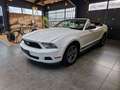 Ford Mustang *Klima*Temp*Radio*Leder* Weiß - thumbnail 2