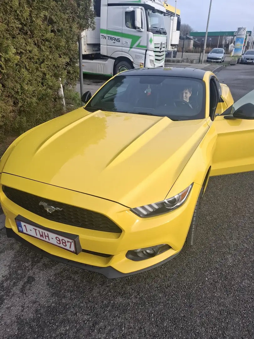 Ford Mustang 2.3 Eco Boost - 1