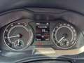 Skoda Kamiq Style Grau - thumbnail 17