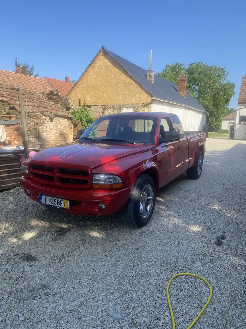 Dodge Dakota Rot - 2